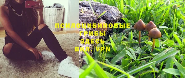 ешки Губаха