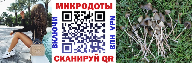 купить наркотики сайты Большой Камень Псилоцибиновые грибы мухоморы