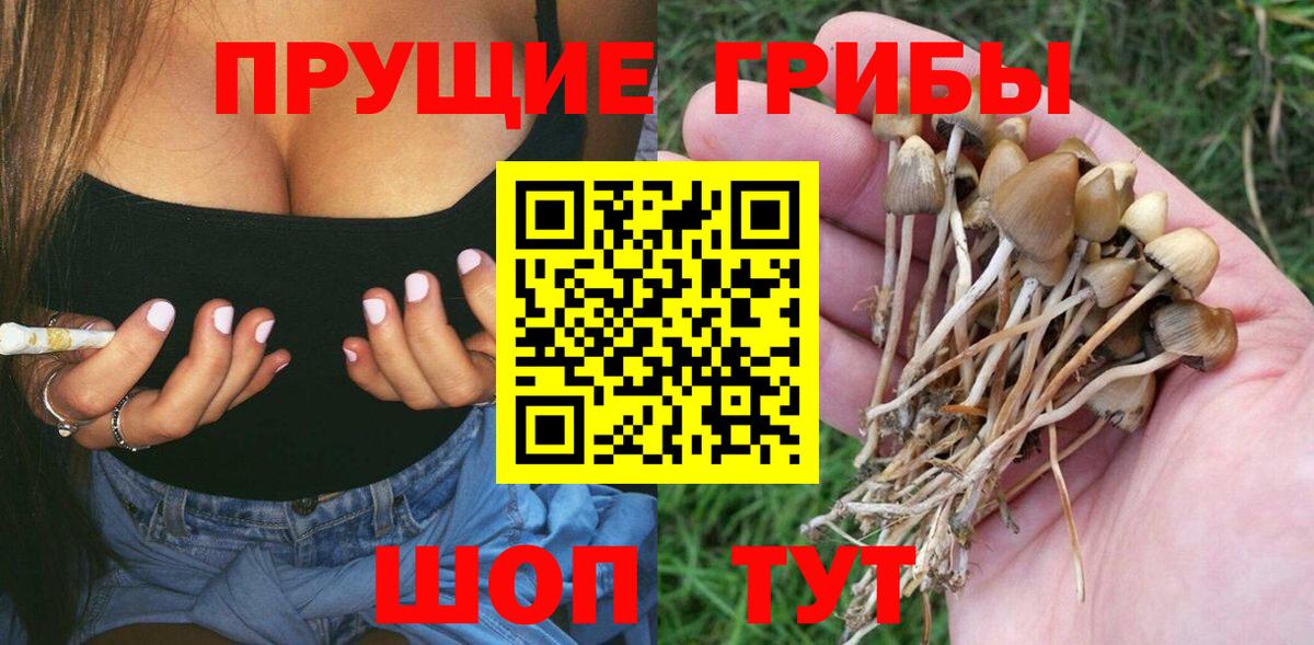 Псилоцибиновые грибы ЛСД Большой Камень