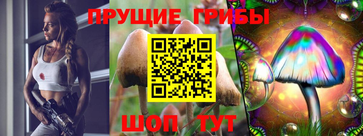 Галлюциногенные грибы прущие грибы  Вход с VPN  Большой Камень 